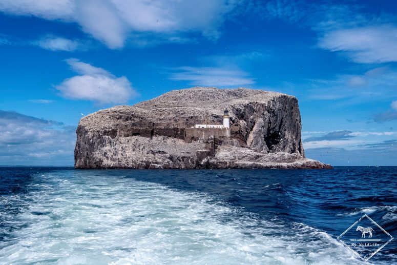 Bass Rock
