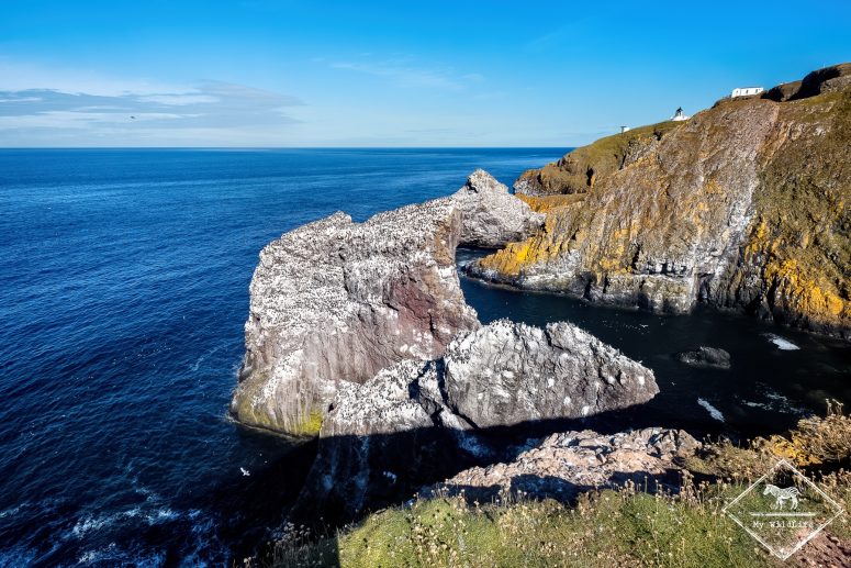 St Abb’s Head