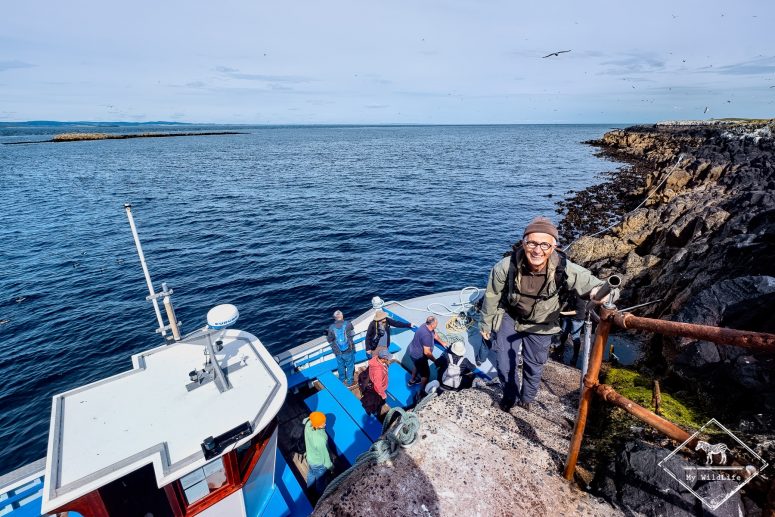 Farne Islands