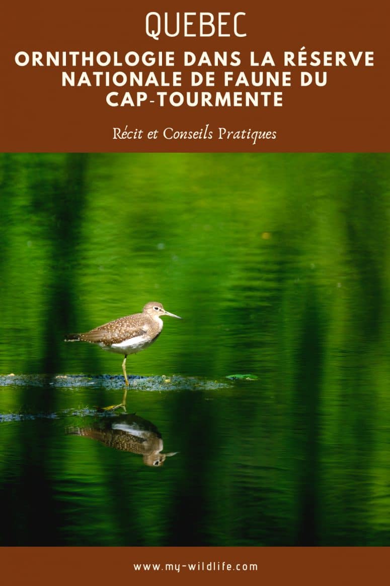 Réserve Nationale de Faune du Cap-Tourmente