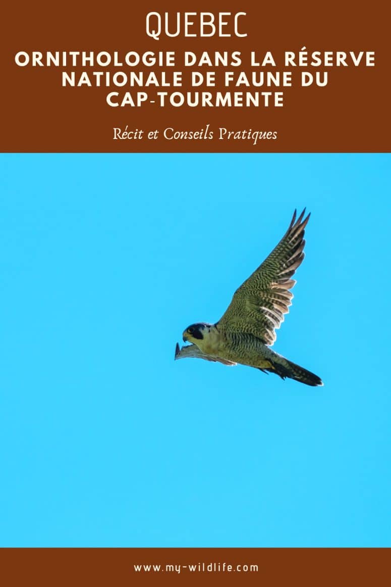 Réserve Nationale de Faune du Cap-Tourmente