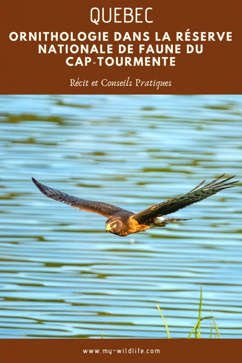 Réserve Nationale de Faune du Cap-Tourmente