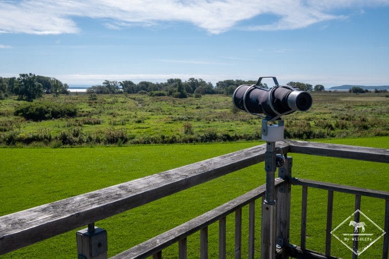 Réserve nationale de faune du Cap‑Tourmente