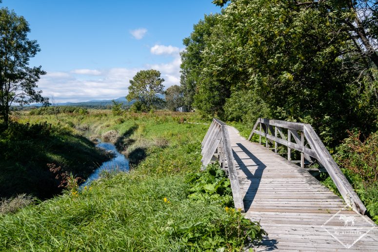 Réserve nationale de faune du Cap‑Tourmente