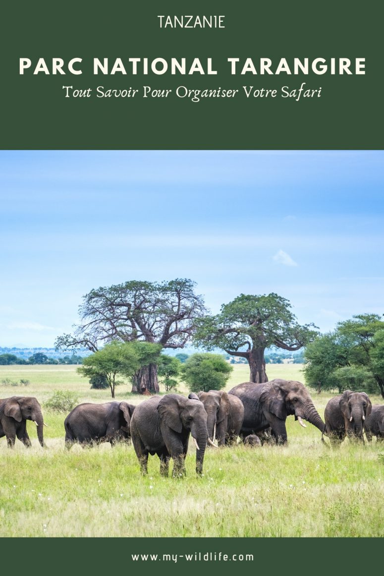 Parc national Tarangire