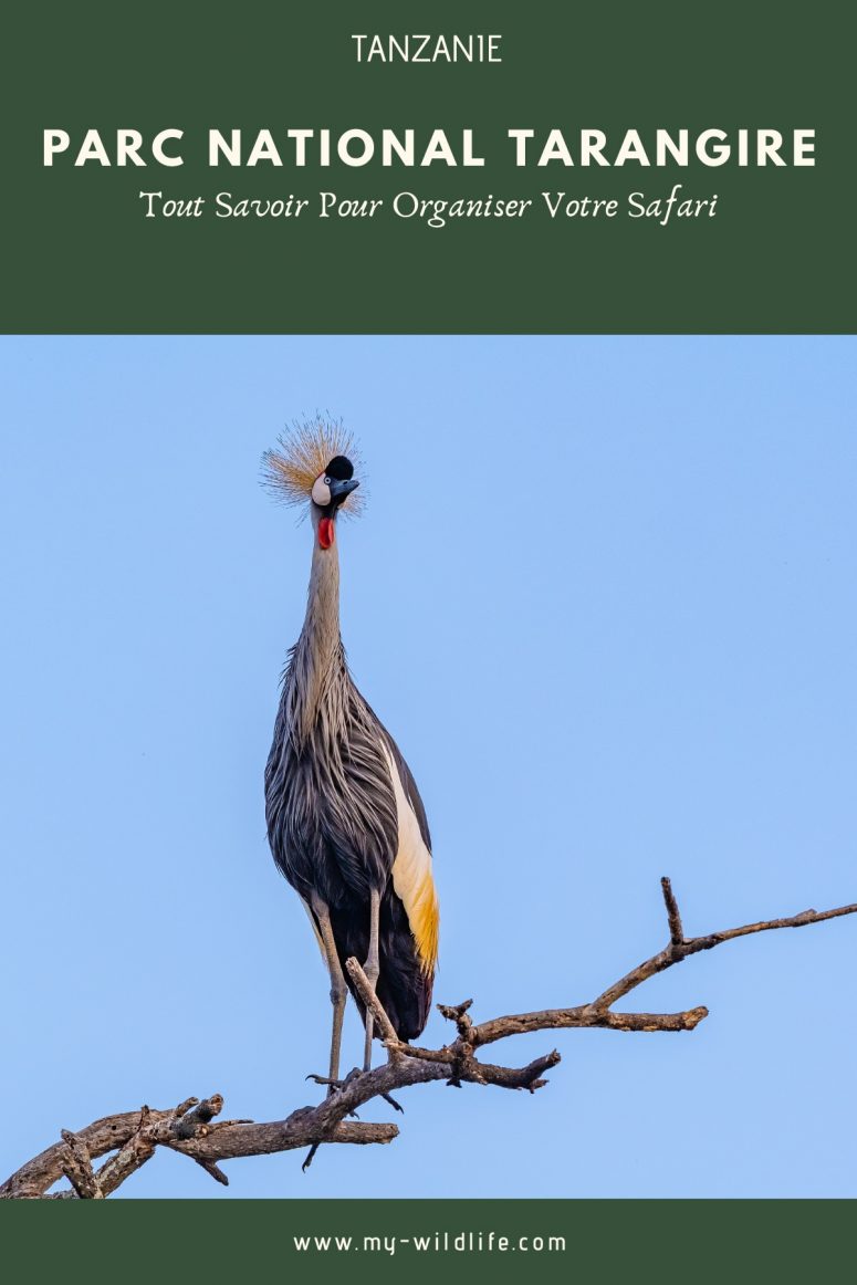 Parc national Tarangire
