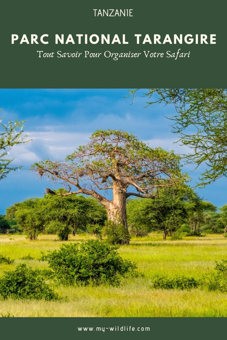 Parc national Tarangire