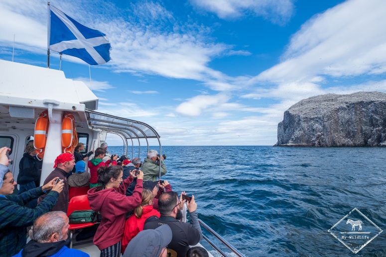 Croisière à Bass Rock