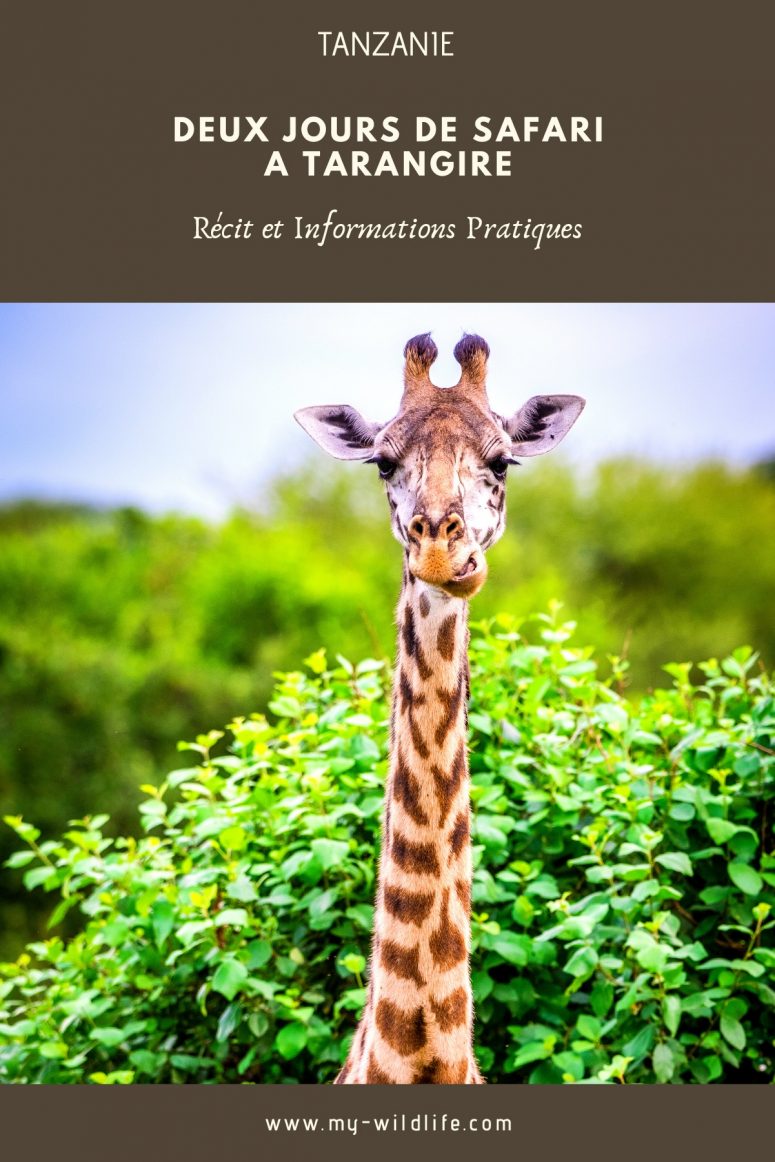 Parc national Tarangire