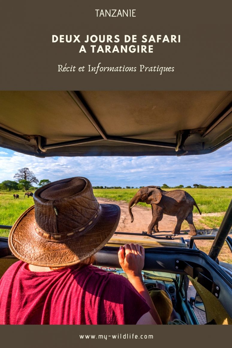 Parc national Tarangire