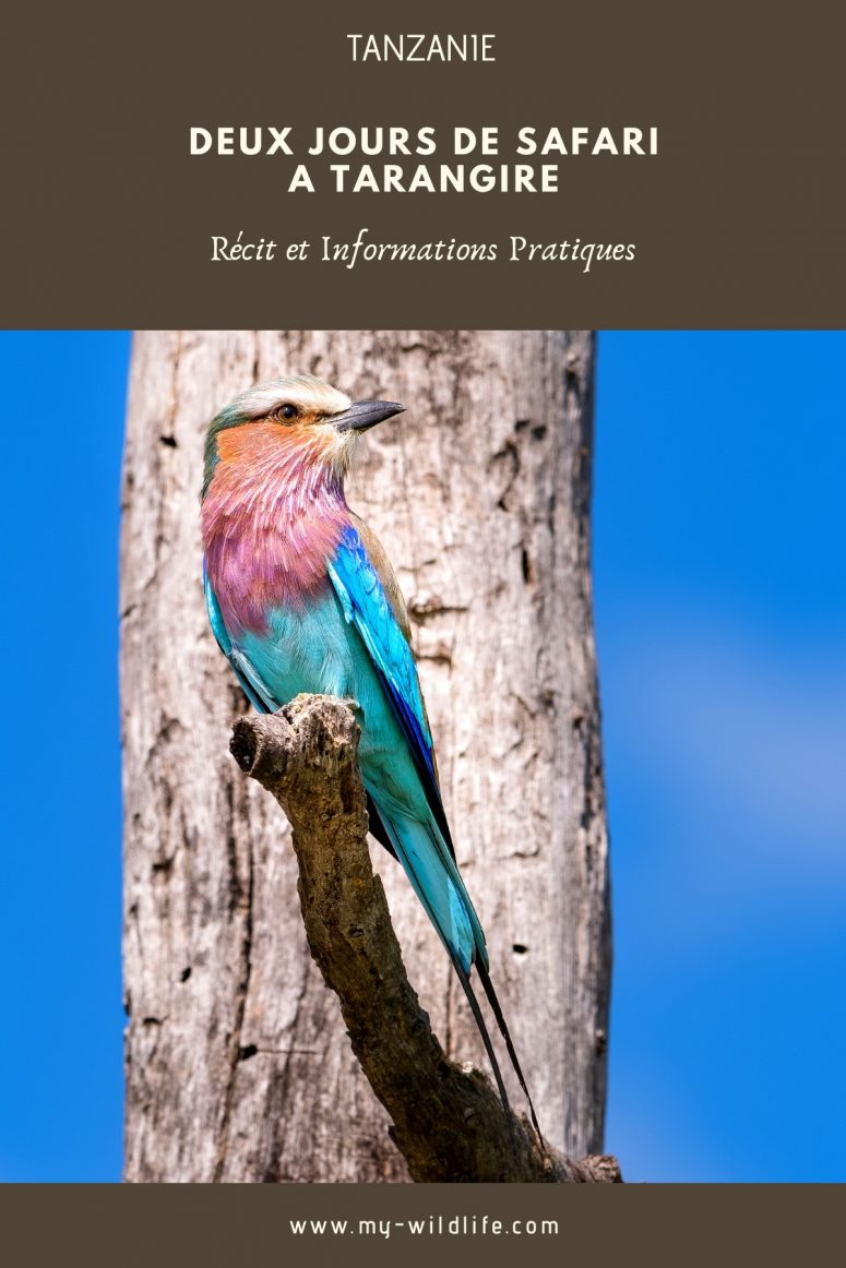 Parc national Tarangire