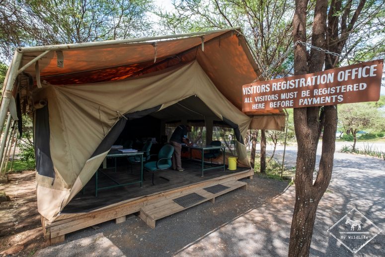 parc national de Tarangire