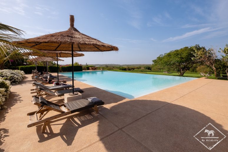 Les Manguiers de Guéréo, piscine
