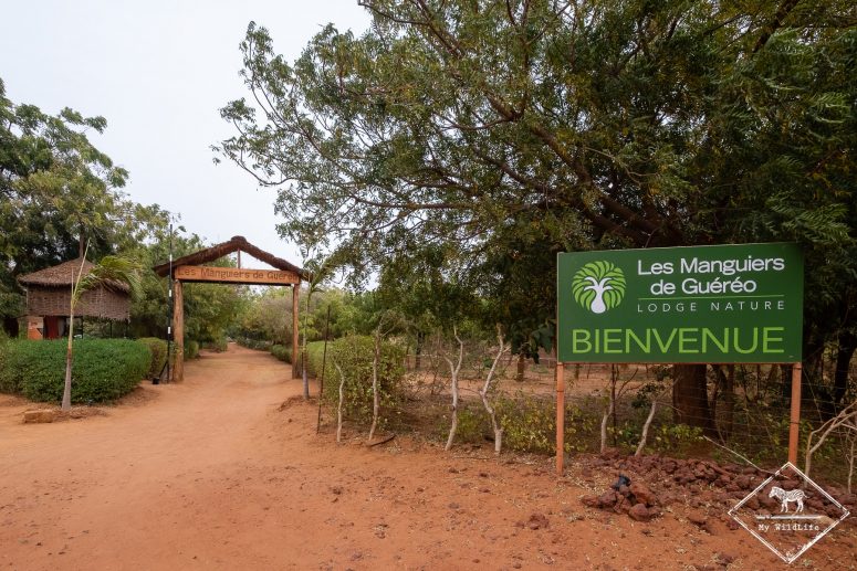 Les Manguiers de Guéréo