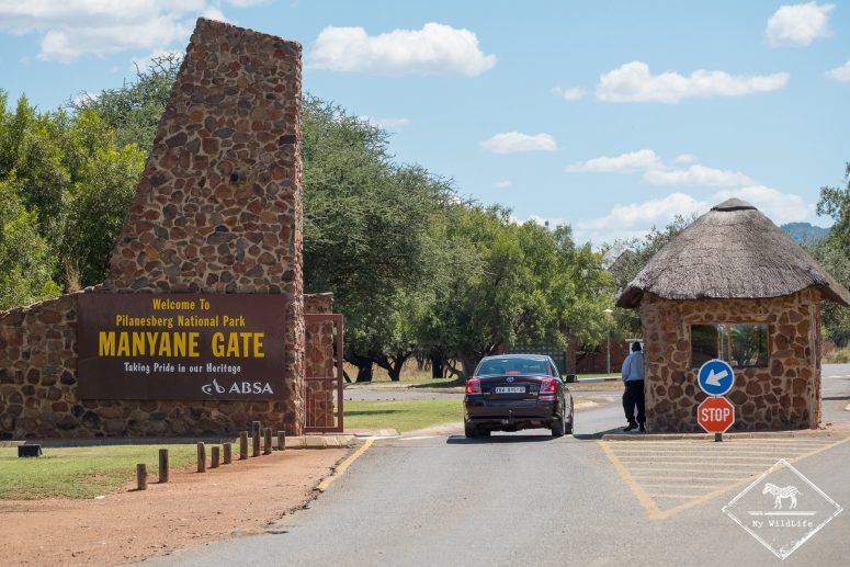 Manyane Gate, parc national Pilanesberg