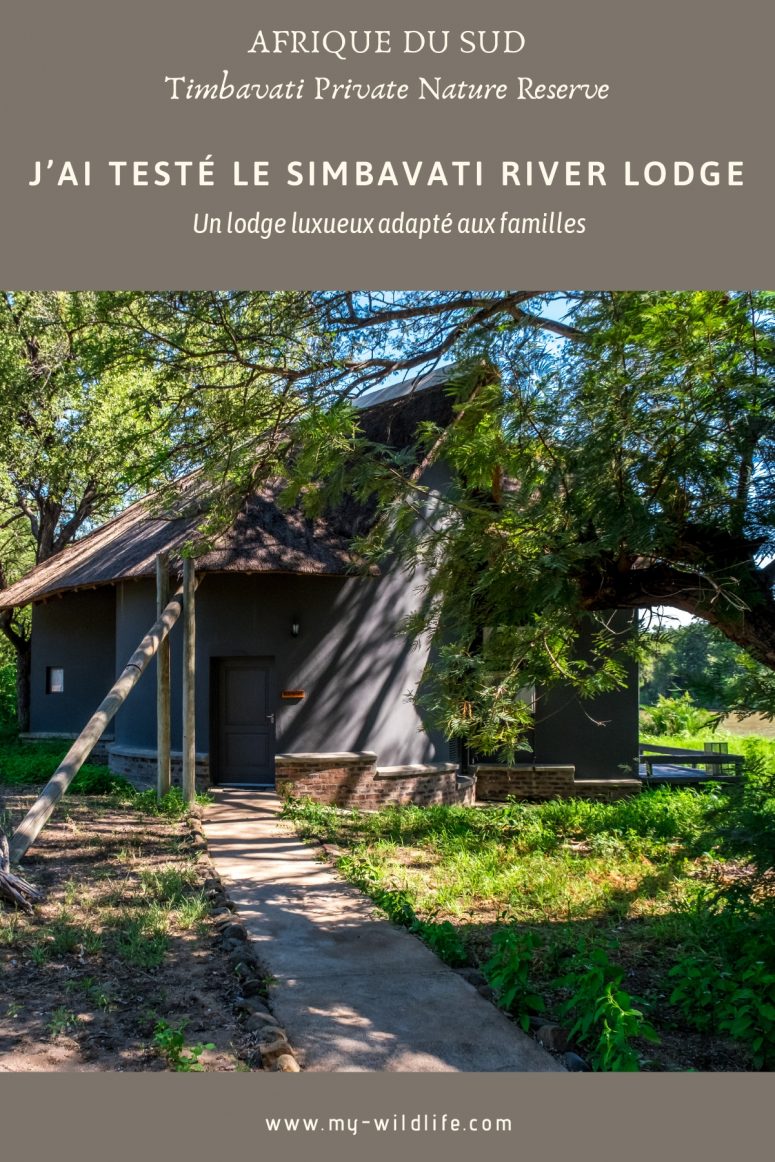 Simbavati River Lodge