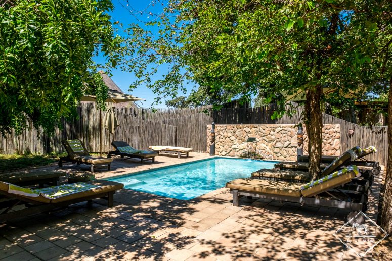 Piscine du Simbavati River Lodge