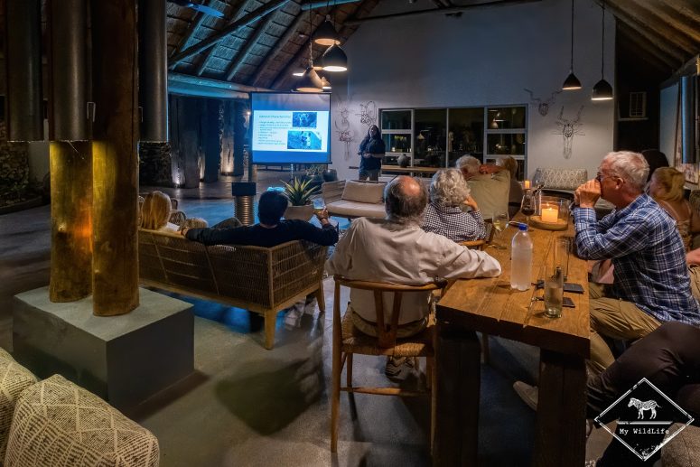 Simbavati River Lodge