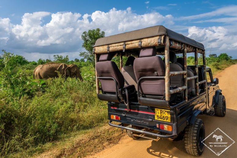Safari dans le parc national Udawalawe