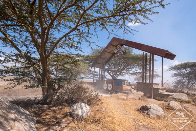 parc national Serengeti