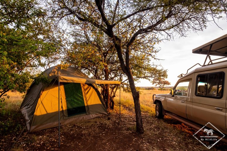 Mbalageti special campsite