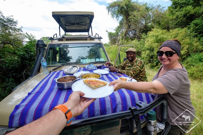 Pique-nique au Serengeti