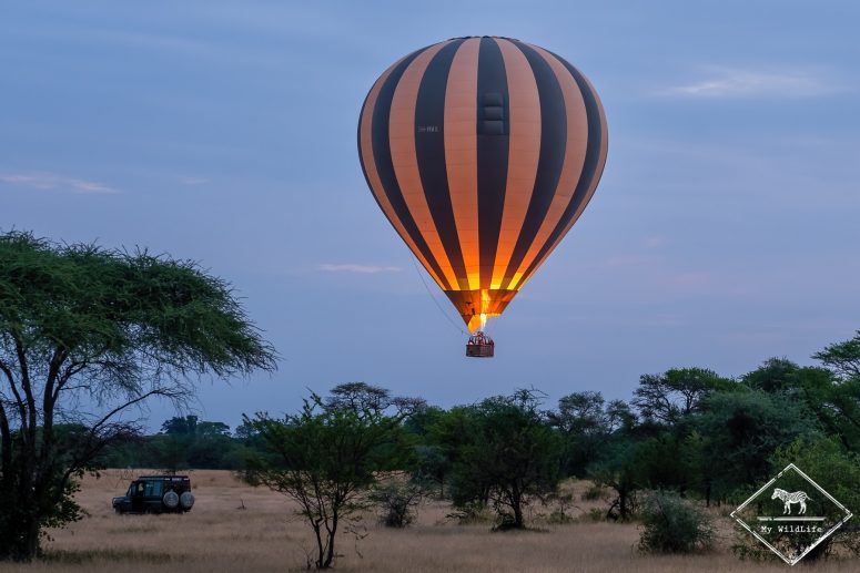 Montgolfière, Serengeti