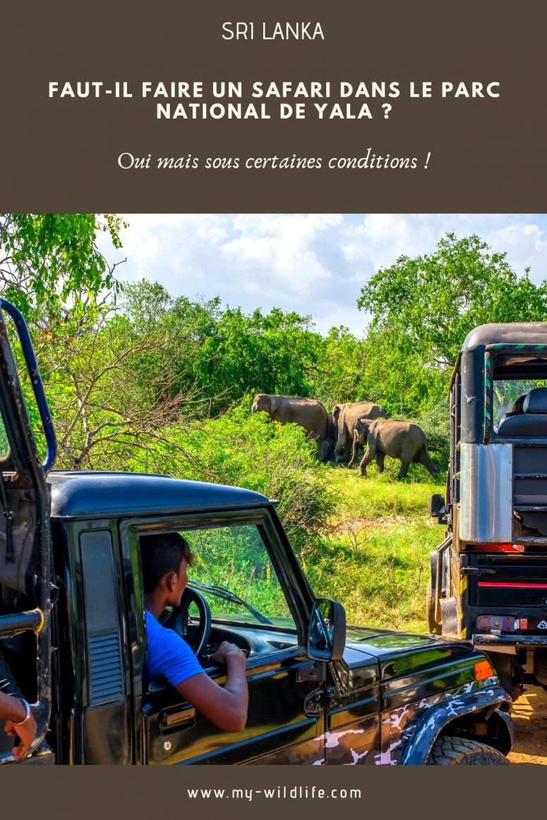 Faut-il faire un safari dans le parc national de Yala ?