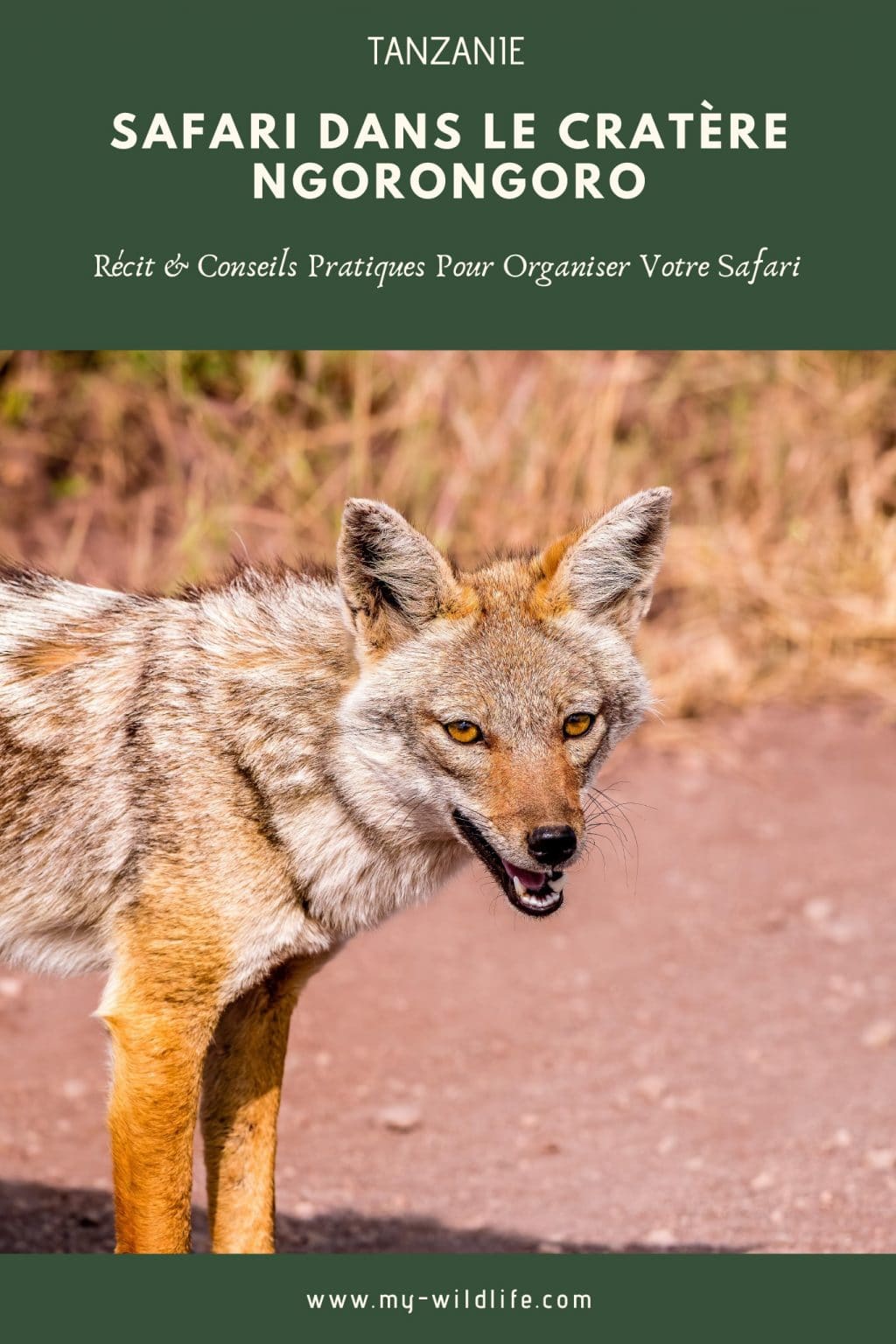 Cratère Ngorongoro, Tanzanie