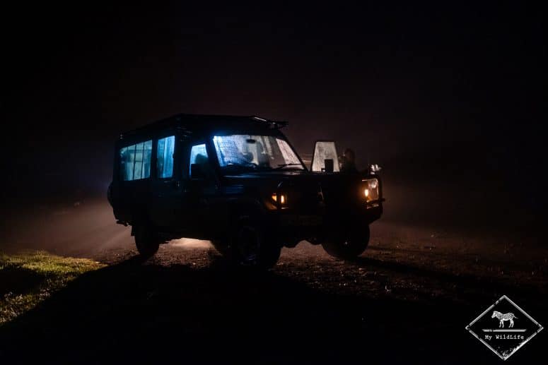 5h30, départ en safari