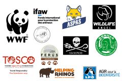 10 associations à soutenir pour la protection des animaux sauvages