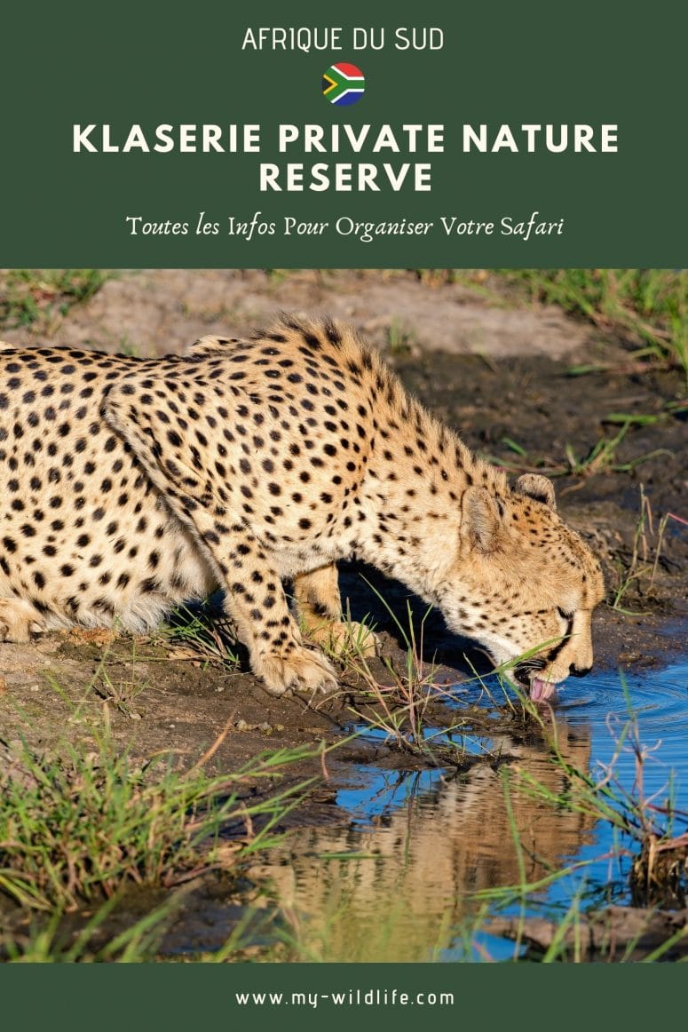 Klaserie Private Nature Reserve