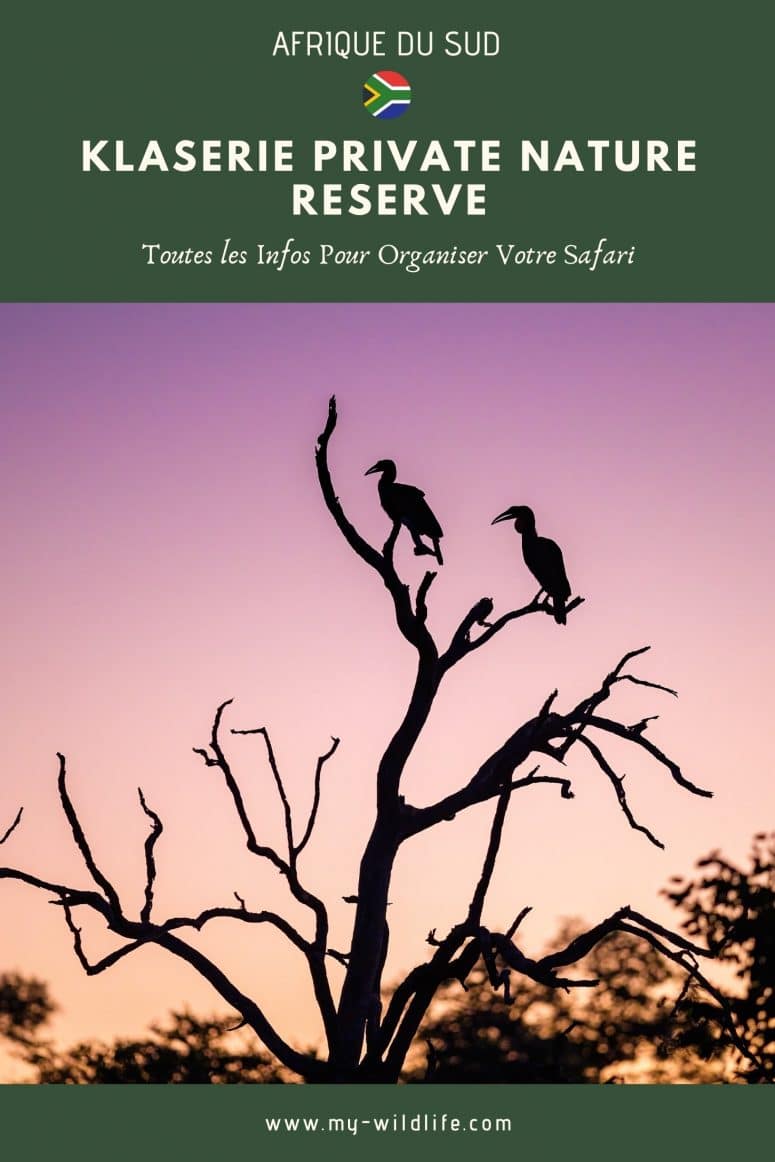 Klaserie Private Nature Reserve