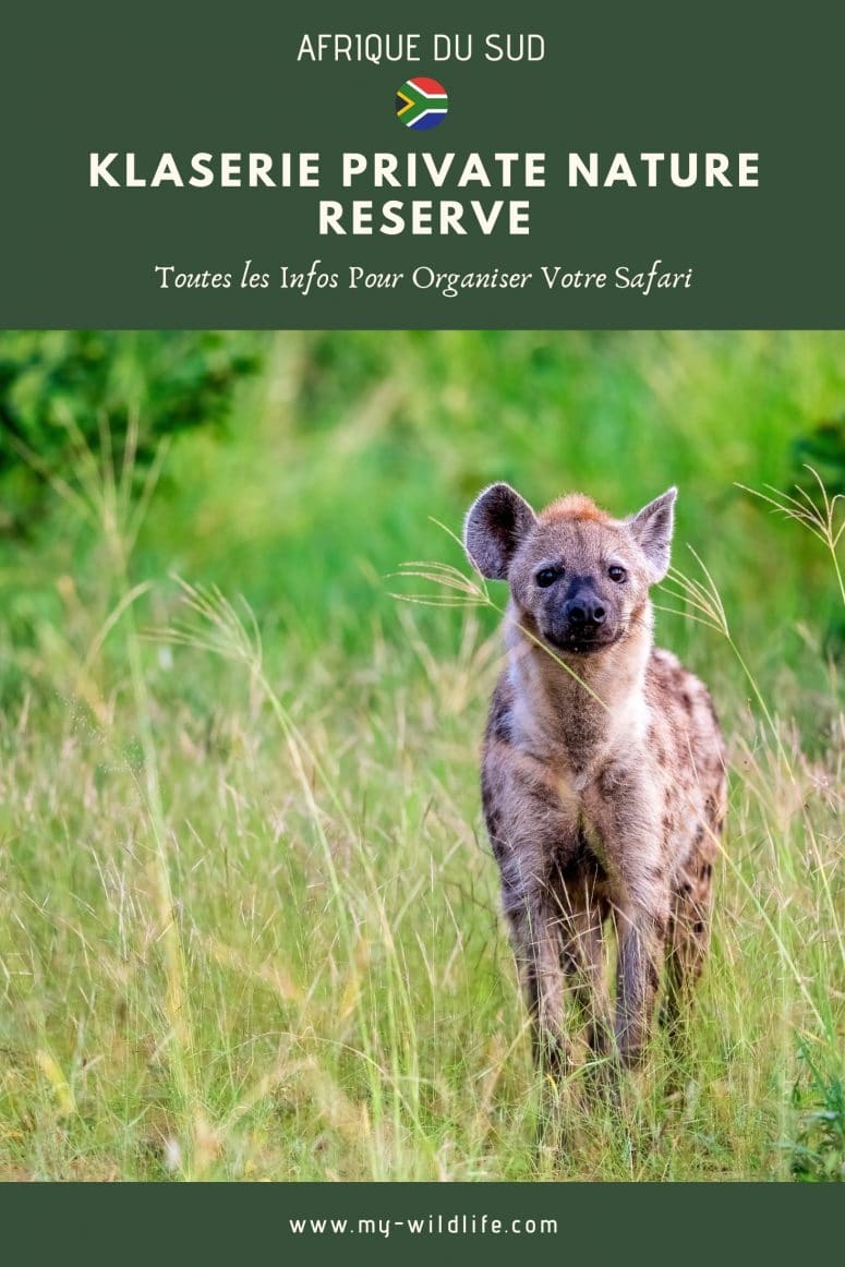 Klaserie Private Nature Reserve