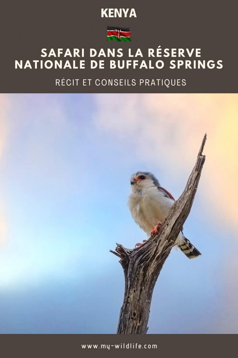 Réserve nationale de Buffalo Springs