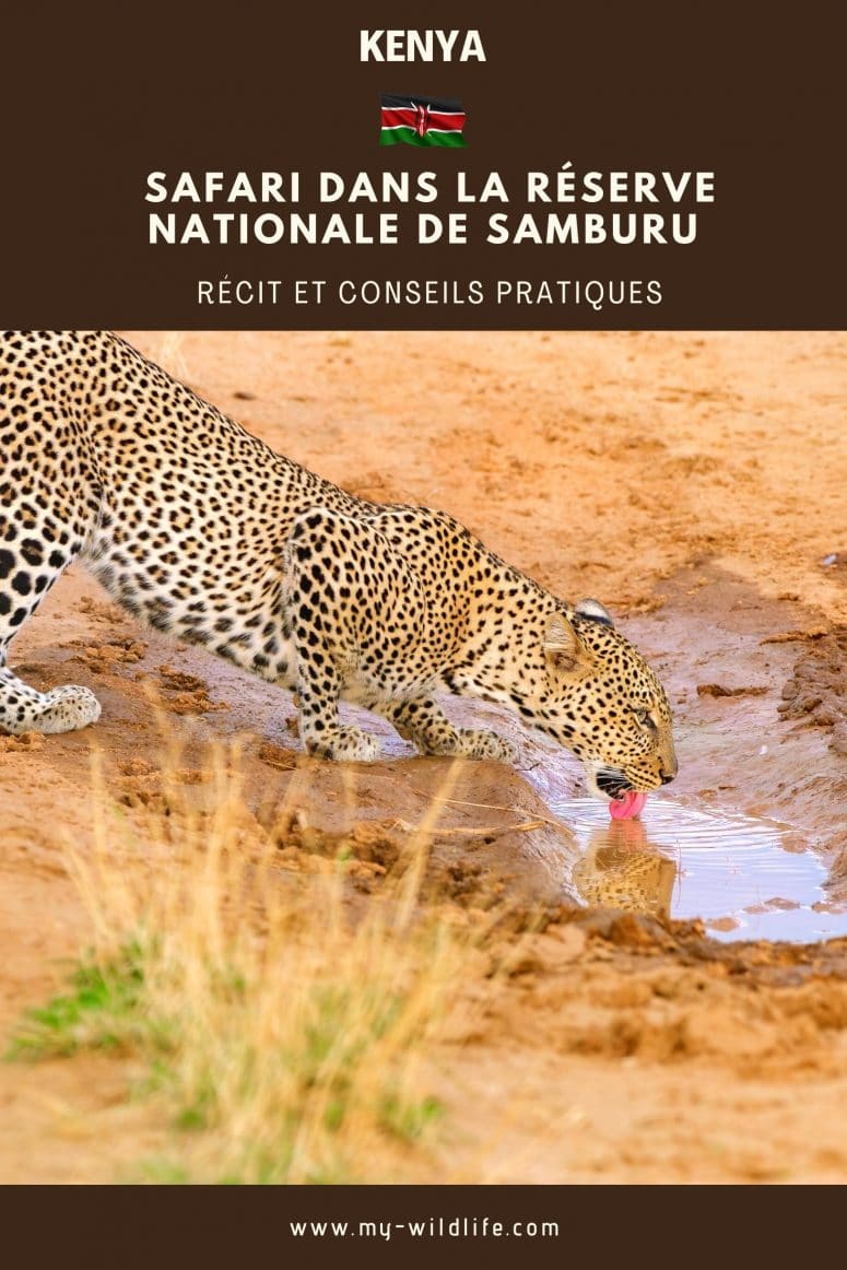 Réserve nationale de Samburu
