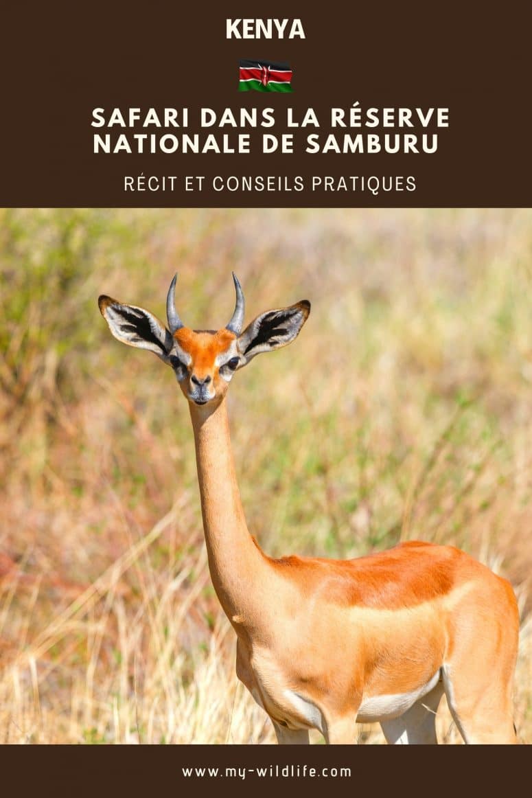 Réserve nationale de Samburu