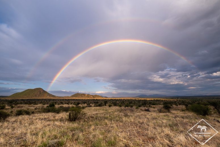Arc-en-ciel à Samburu