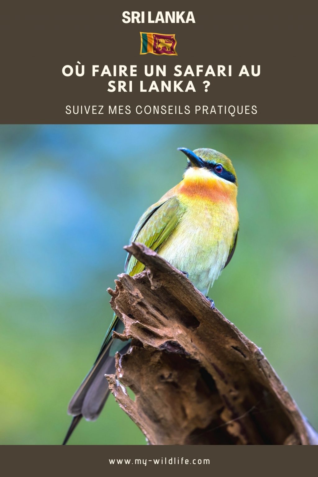 Où faire un safari au Sri Lanka ?