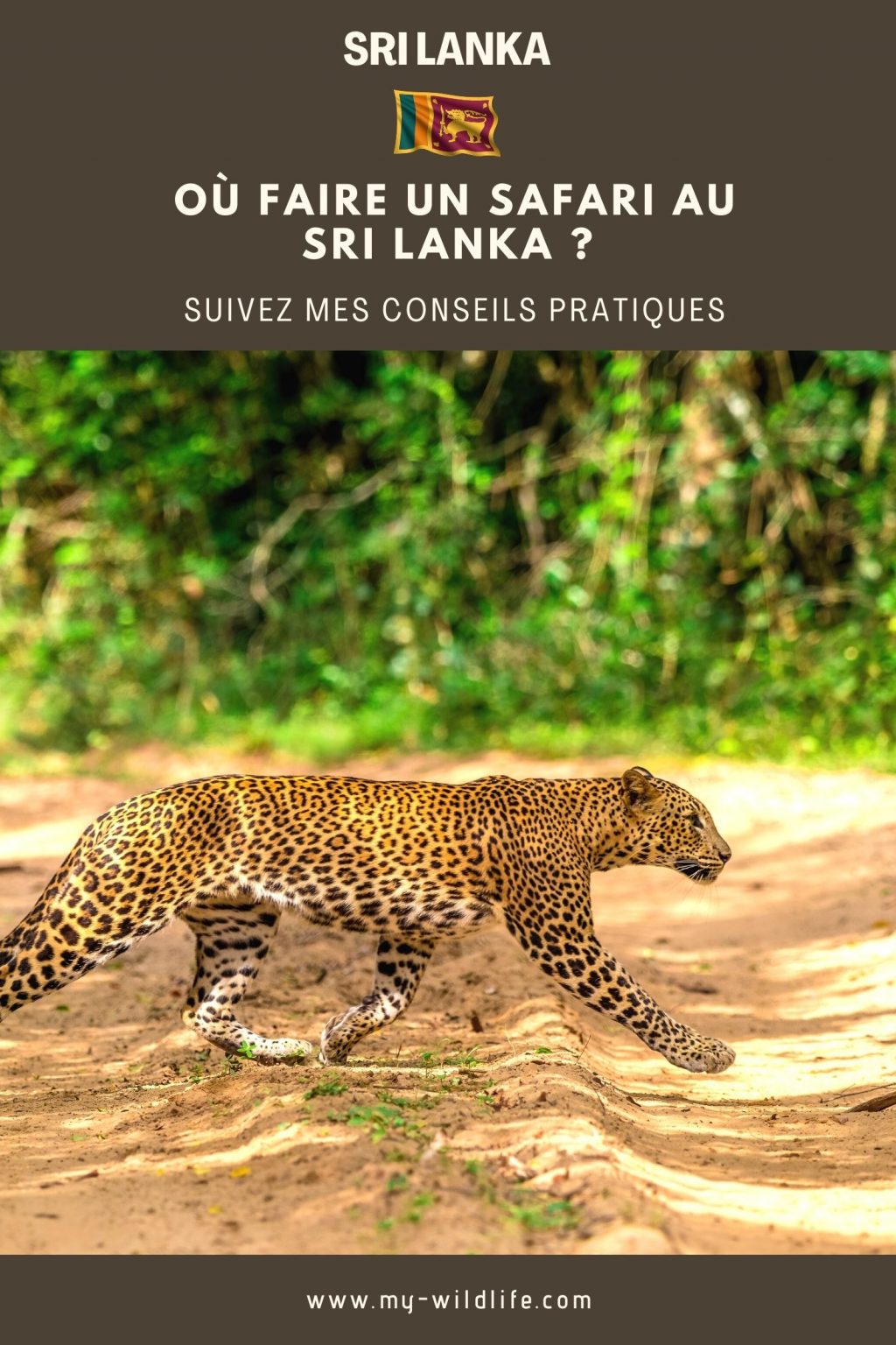 Où faire un safari au Sri Lanka ?