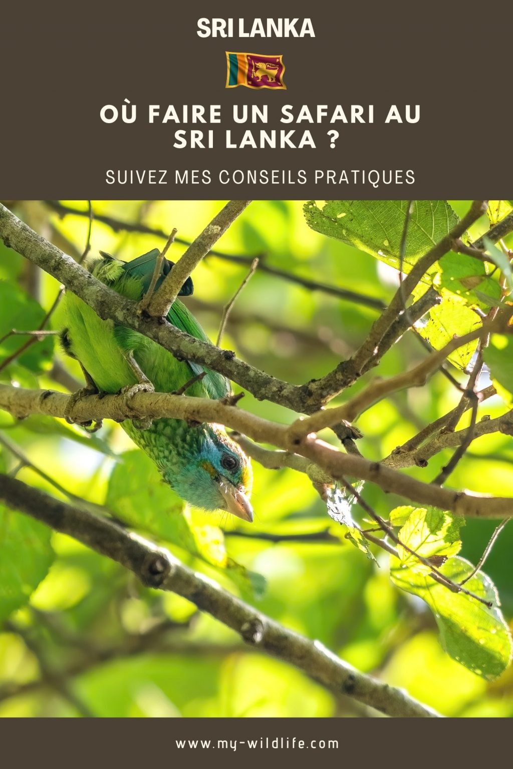 Où faire un safari au Sri Lanka ?