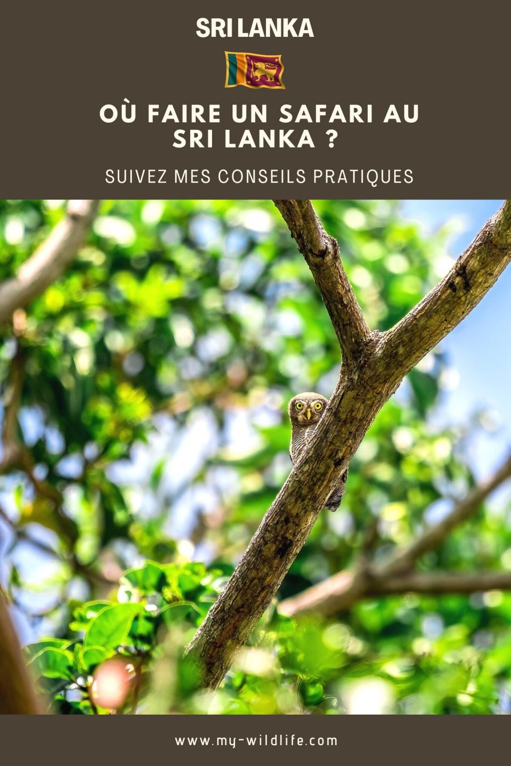 Où faire un safari au Sri Lanka ?