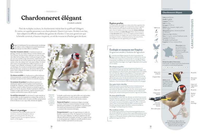 Fiche de l'ouvrage Le grand Atlas des oiseaux : 150 oiseaux des régions de France