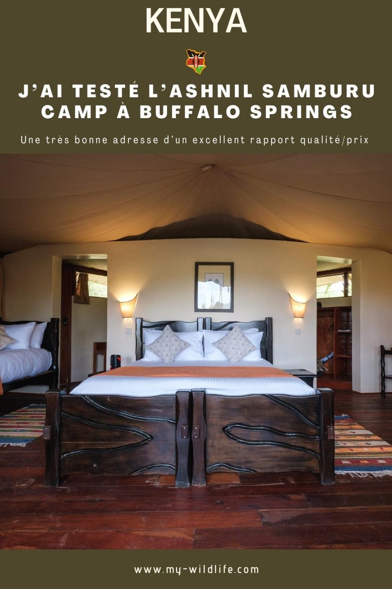 J’ai testé l’Ashnil Samburu Camp à Buffalo Springs