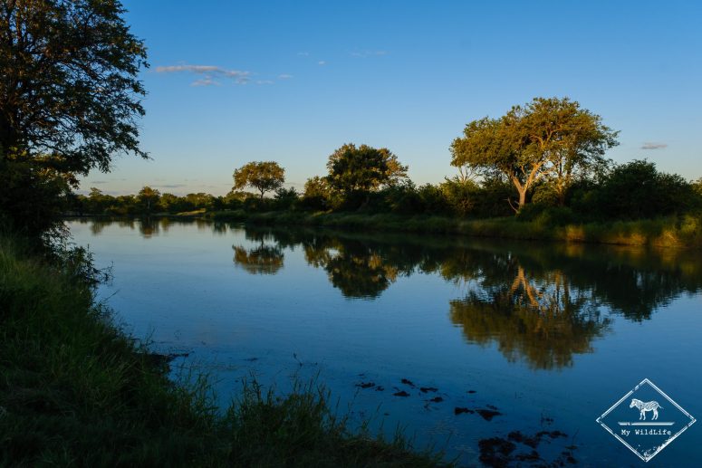 Réserve privée de Klaserie