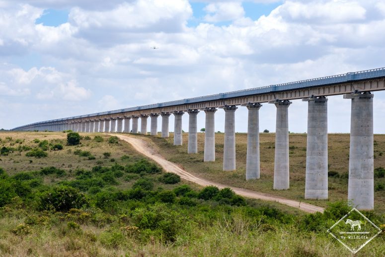 Ligne de train qui traverse le parc national Nairobi