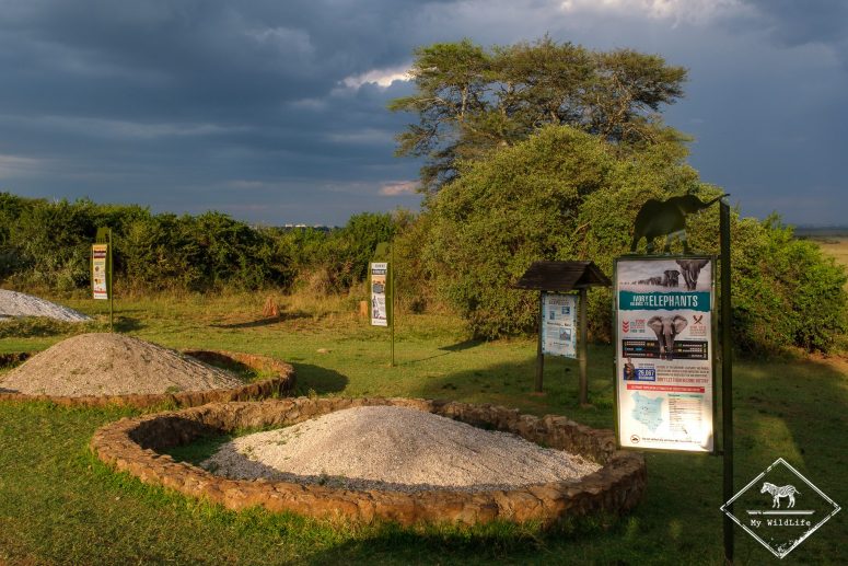 Ivory Burning site, parc national de Nairobi
