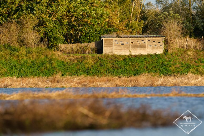 Observatoire, Réserve Ornithologique Baie de Somme - Grand-Laviers