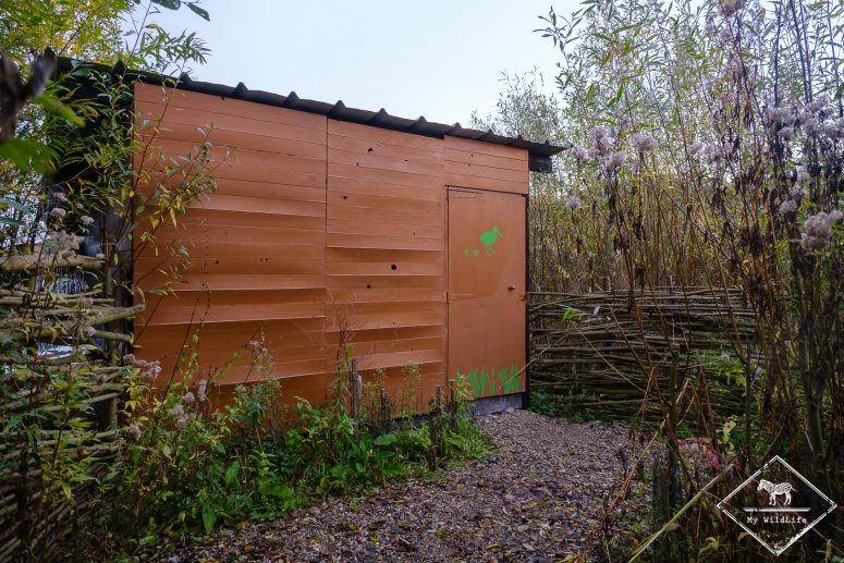 L'affût, Réserve Ornithologique Baie de Somme - Grand-Laviers