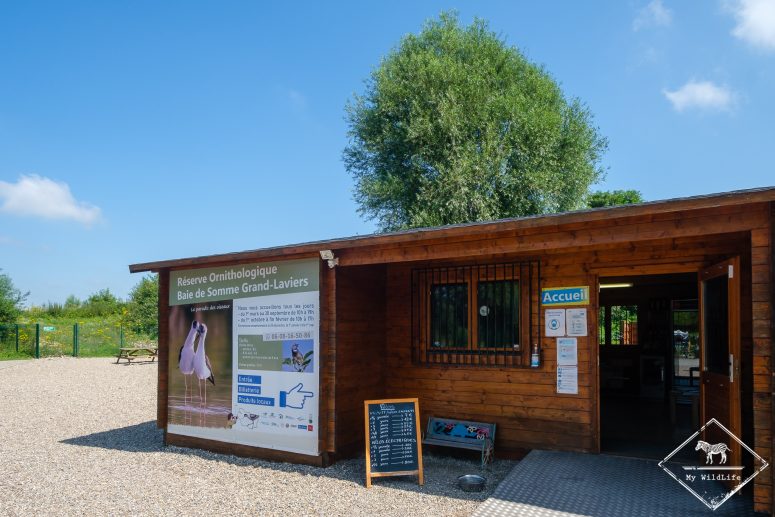 Réserve Ornithologique Baie de Somme - Grand-Laviers